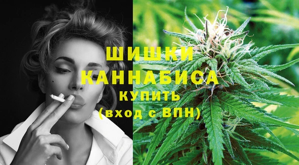 дживик Богородск