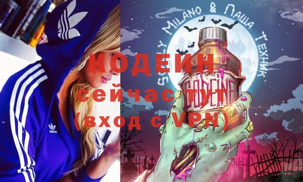дживик Белокуриха