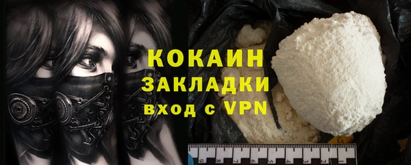 дживик Белокуриха