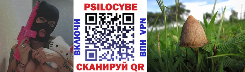 KRAKEN рабочий сайт  Бобров  Галлюциногенные грибы MAGIC MUSHROOMS  купить  
